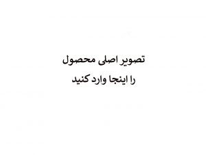 محصول نمونه فناوری